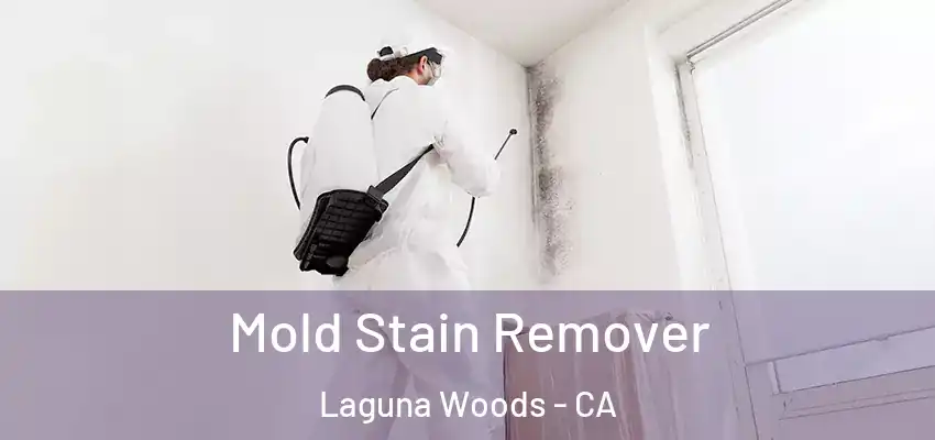 Mold Stain Remover Laguna Woods - CA