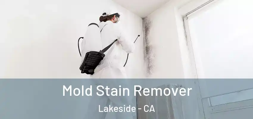  Mold Stain Remover Lakeside - CA