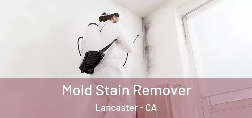 Mold Stain Remover Lancaster - CA