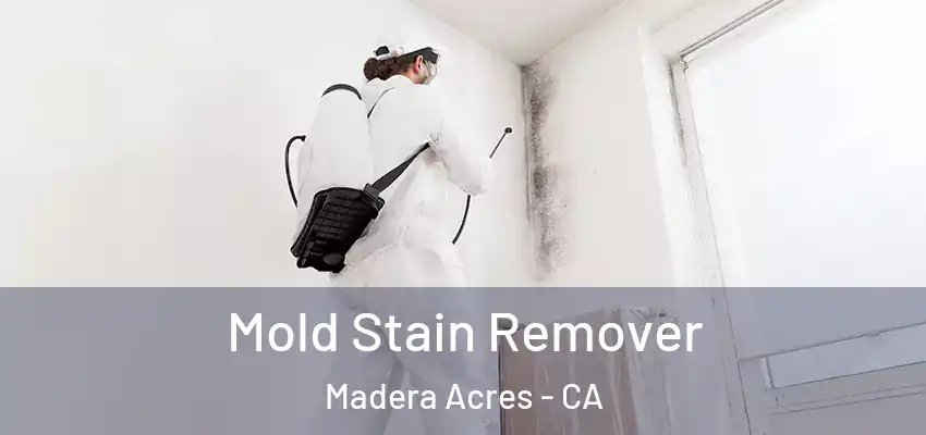  Mold Stain Remover Madera Acres - CA