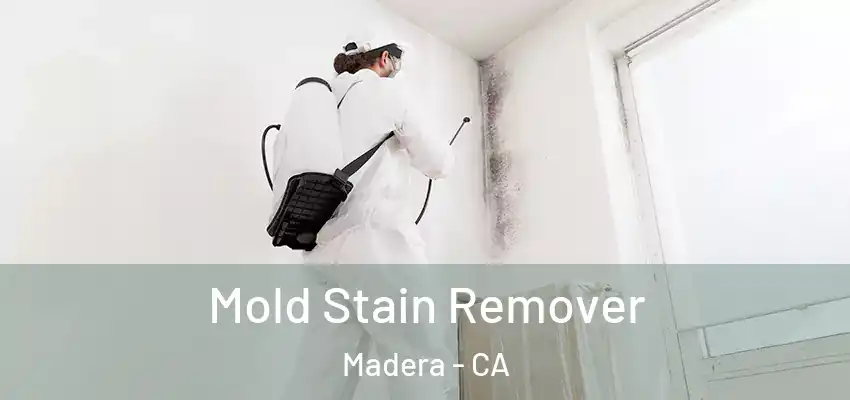  Mold Stain Remover Madera - CA