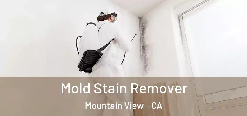 Mold Stain Remover Mountain View - CA