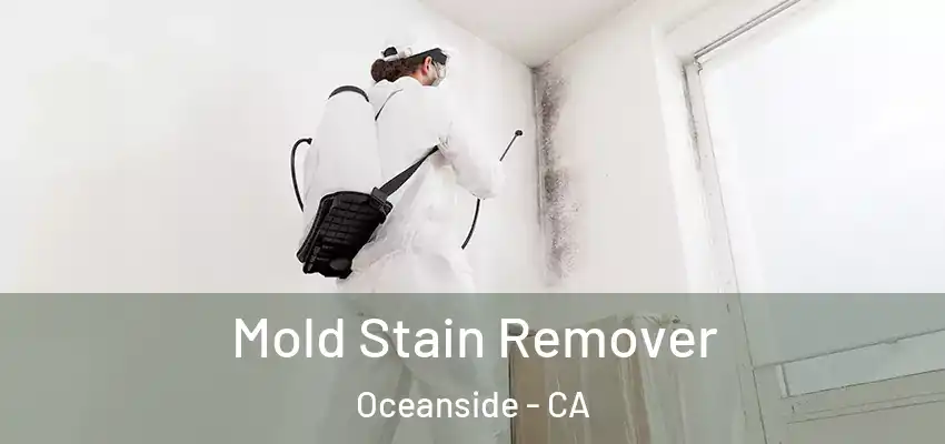 Mold Stain Remover Oceanside - CA