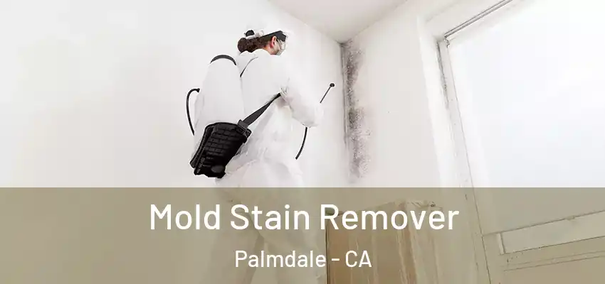 Mold Stain Remover Palmdale - CA