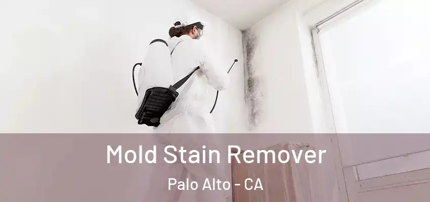 Mold Stain Remover Palo Alto - CA