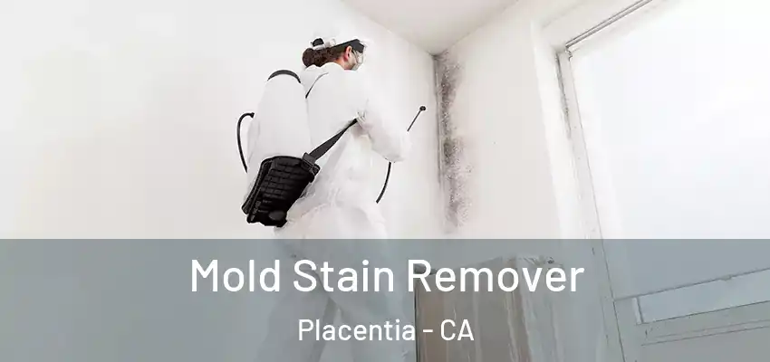  Mold Stain Remover Placentia - CA