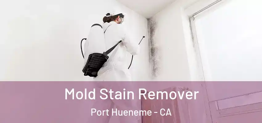 Mold Stain Remover Port Hueneme - CA