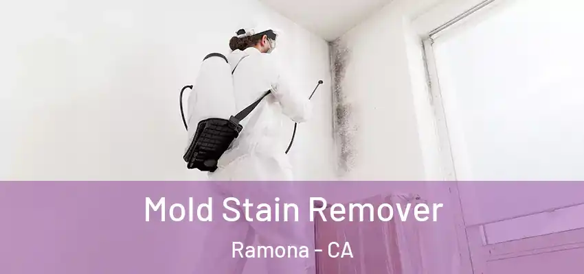 Mold Stain Remover Ramona - CA