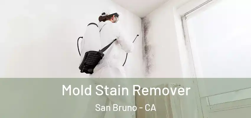  Mold Stain Remover San Bruno - CA
