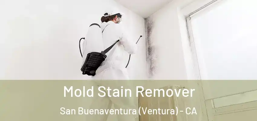  Mold Stain Remover San Buenaventura (Ventura) - CA