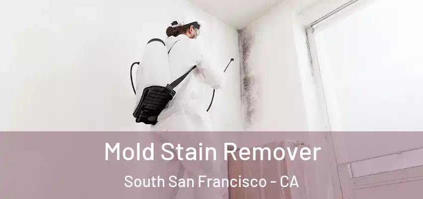  Mold Stain Remover South San Francisco - CA