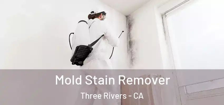  Mold Stain Remover Three Rivers - CA