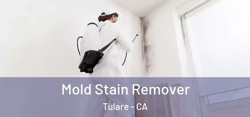 Mold Stain Remover Tulare - CA