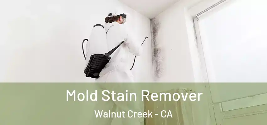  Mold Stain Remover Walnut Creek - CA
