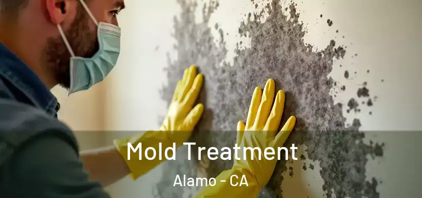  Mold Treatment Alamo - CA