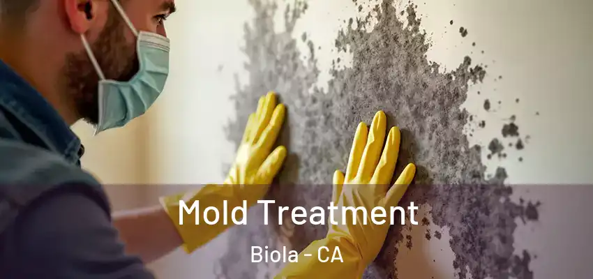  Mold Treatment Biola - CA