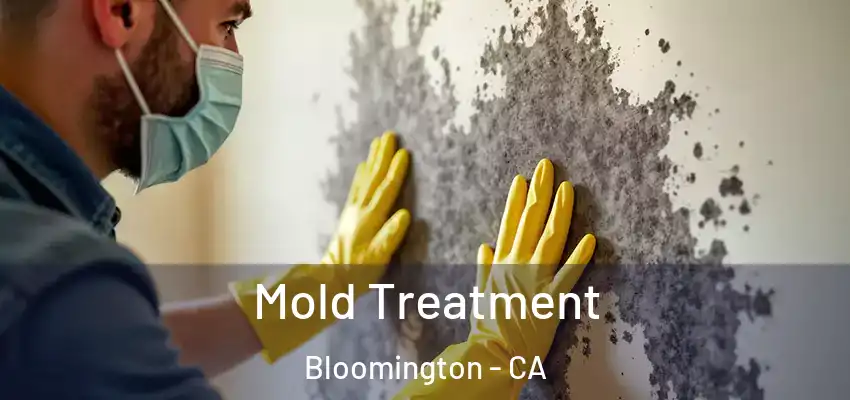  Mold Treatment Bloomington - CA