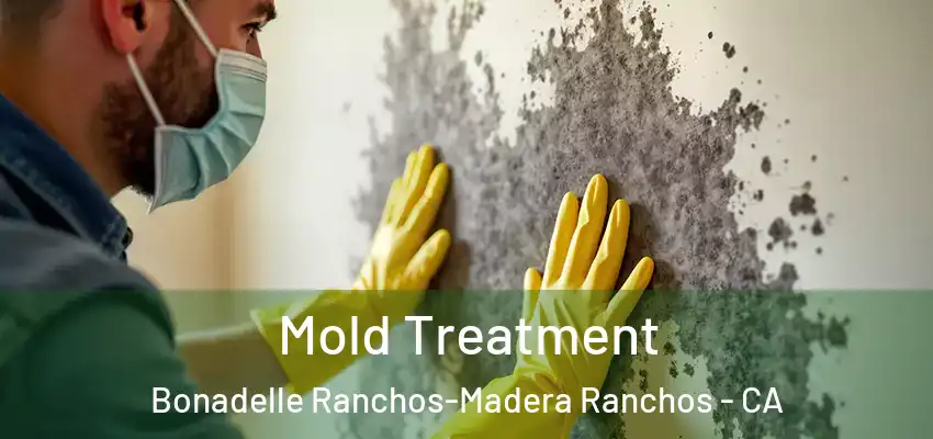  Mold Treatment Bonadelle Ranchos-Madera Ranchos - CA