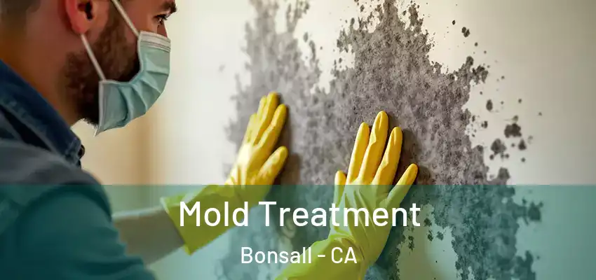  Mold Treatment Bonsall - CA
