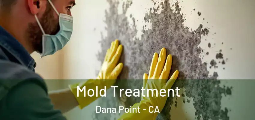  Mold Treatment Dana Point - CA