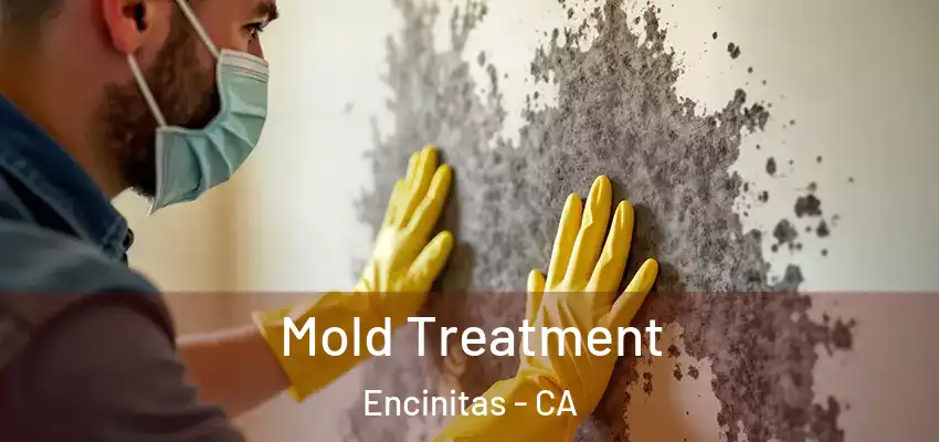  Mold Treatment Encinitas - CA