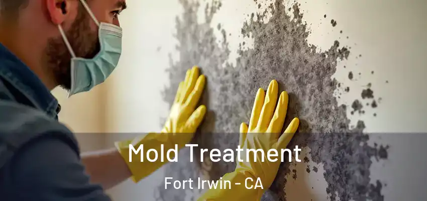  Mold Treatment Fort Irwin - CA