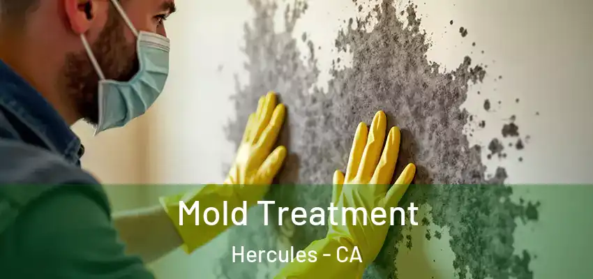 Mold Treatment Hercules - CA
