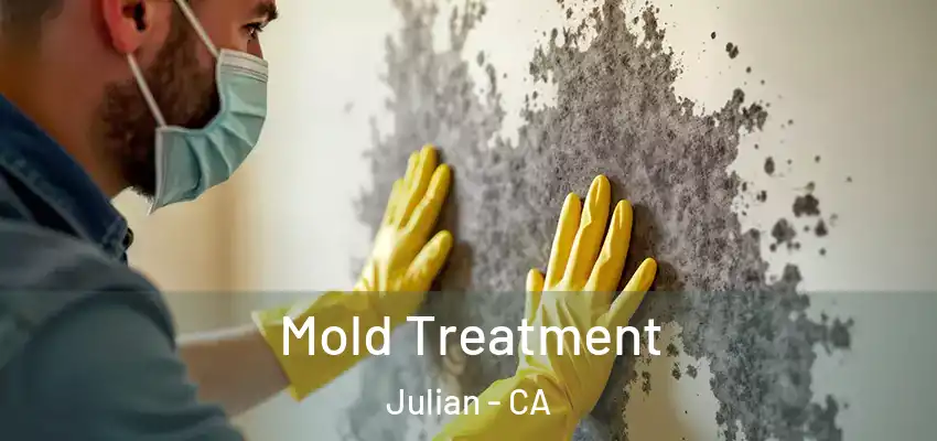  Mold Treatment Julian - CA