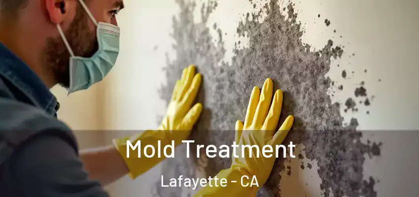 Mold Treatment Lafayette - CA