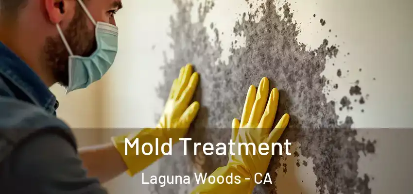  Mold Treatment Laguna Woods - CA