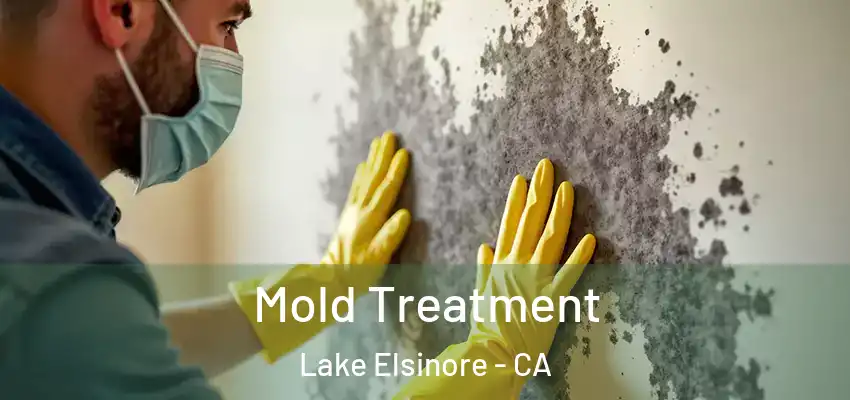  Mold Treatment Lake Elsinore - CA