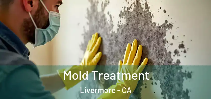  Mold Treatment Livermore - CA