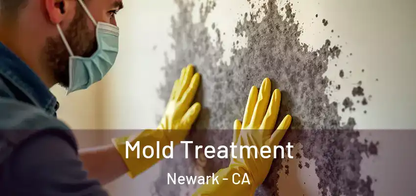 Mold Treatment Newark - CA
