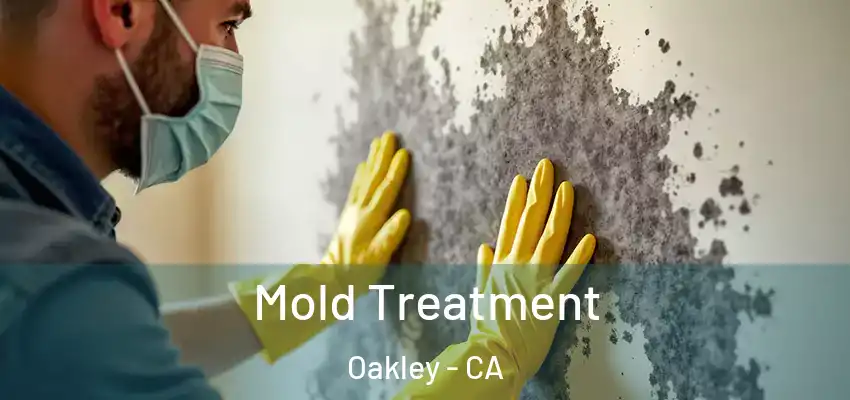 Mold Treatment Oakley - CA