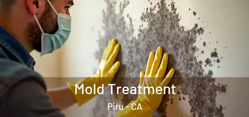 Mold Treatment Piru - CA
