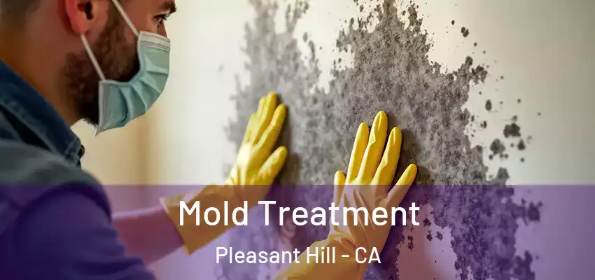  Mold Treatment Pleasant Hill - CA