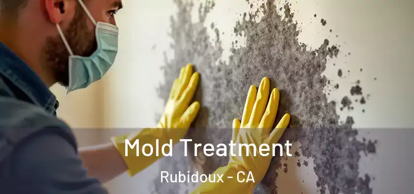Mold Treatment Rubidoux - CA