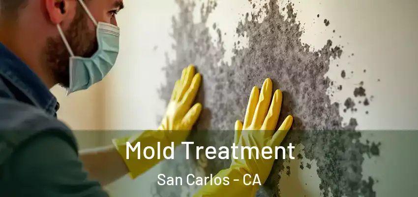  Mold Treatment San Carlos - CA