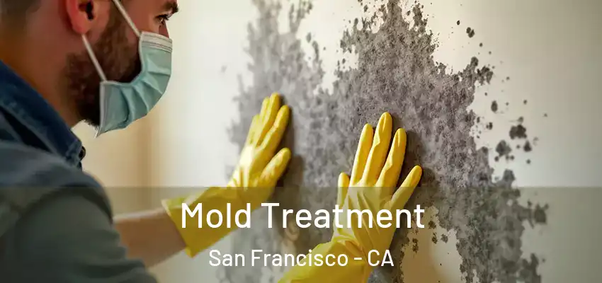  Mold Treatment San Francisco - CA