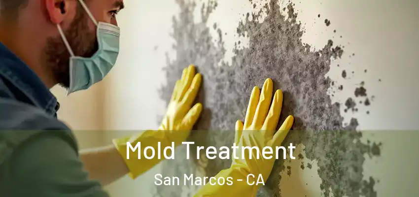  Mold Treatment San Marcos - CA