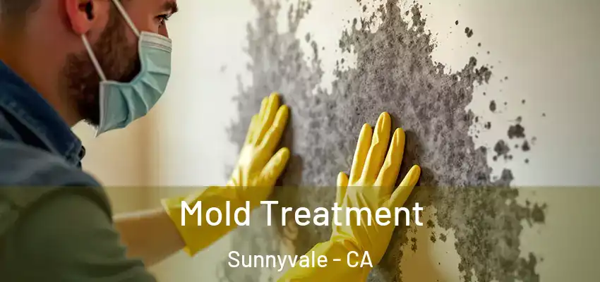  Mold Treatment Sunnyvale - CA