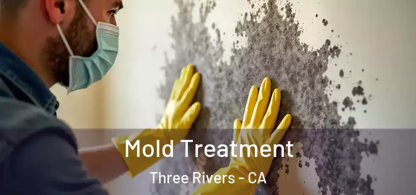 Mold Treatment Three Rivers - CA
