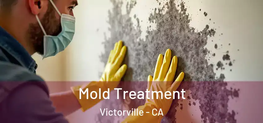  Mold Treatment Victorville - CA