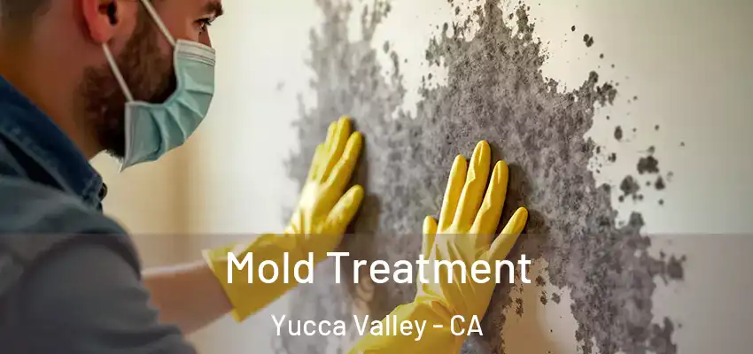  Mold Treatment Yucca Valley - CA