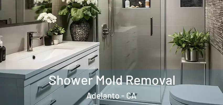 Shower Mold Removal Adelanto - CA