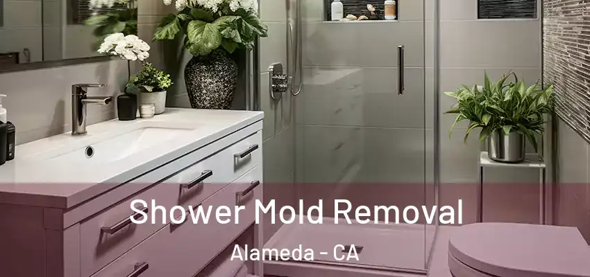  Shower Mold Removal Alameda - CA