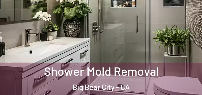  Shower Mold Removal Big Bear City - CA