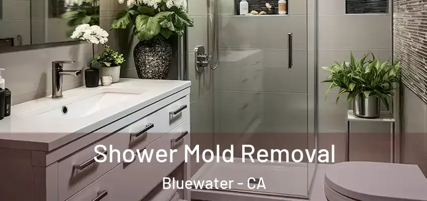  Shower Mold Removal Bluewater - CA