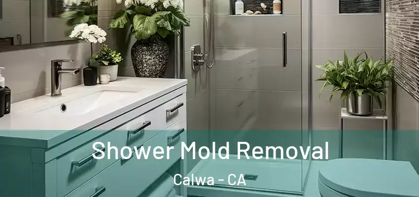  Shower Mold Removal Calwa - CA
