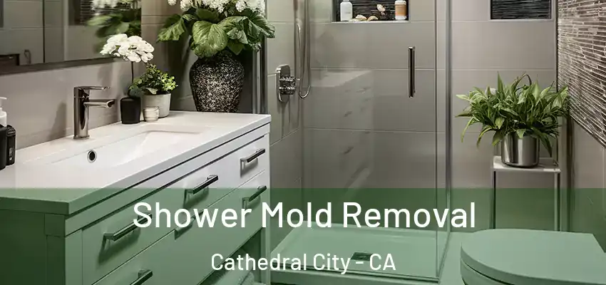  Shower Mold Removal Cathedral City - CA